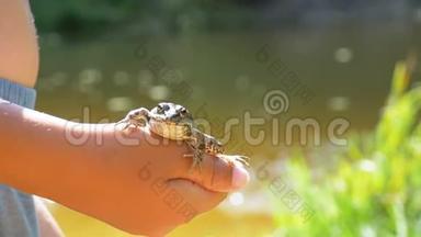小男孩手里拿着一只青蛙在河边的海滩上。 慢动作